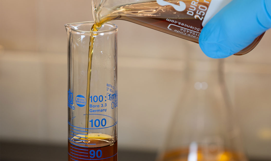 Sviluppo campionature